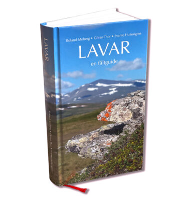 Lavar – en fältguide (2025)